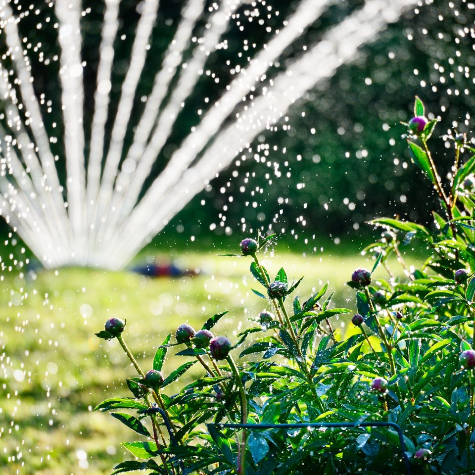 Aspersor de agua riega un jardín